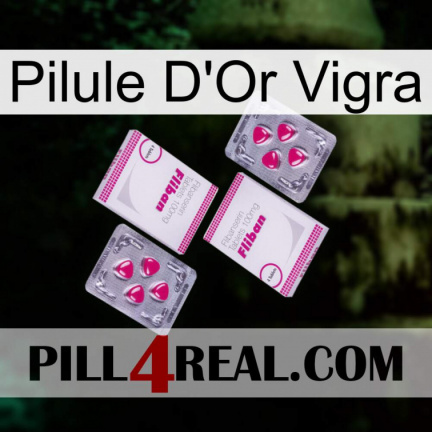 Vigra Gold Pill 33